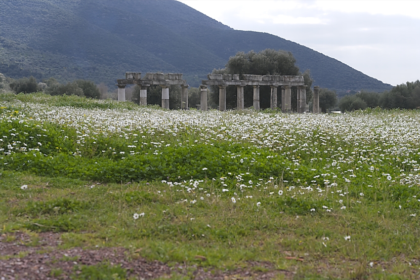 M1Messene