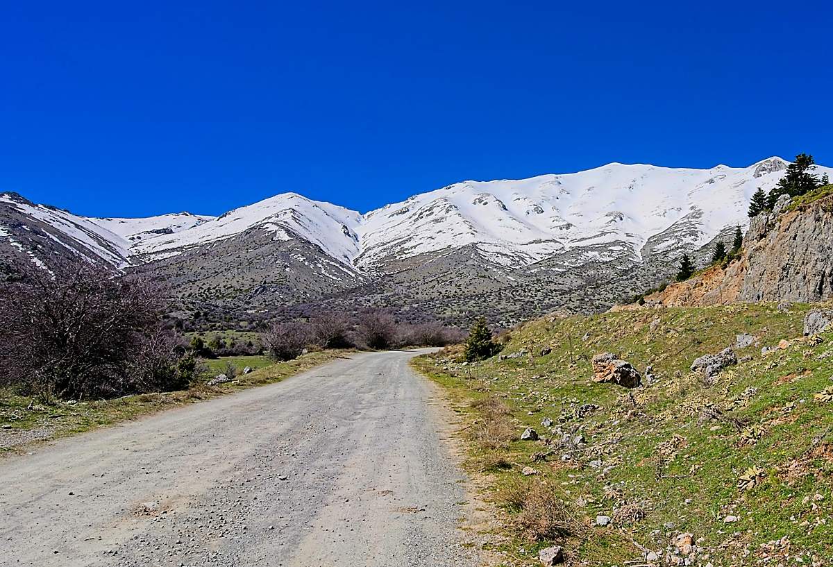 T0Trikala