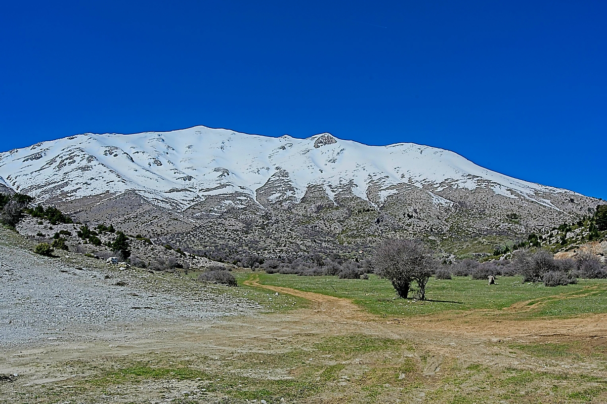 T2Trikala