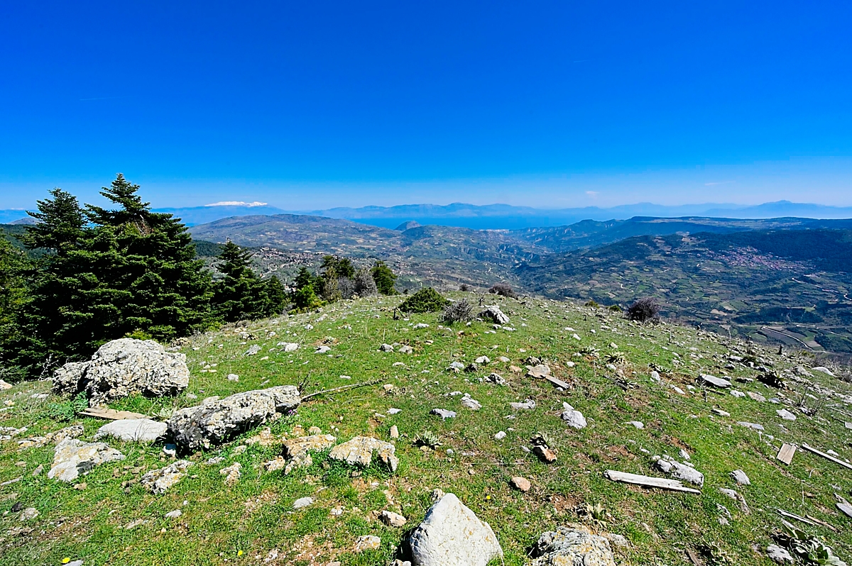 T3Trikala