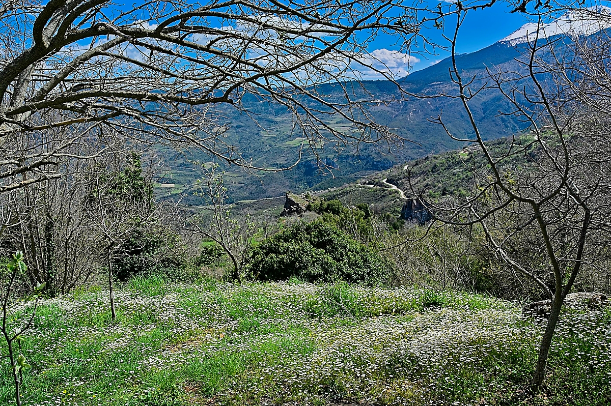 T7Trikala